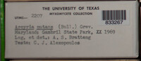Image Associated With the Occurence